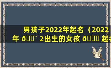 男孩子2022年起名（2022年 🌴 2出生的女孩 🕊 起名）